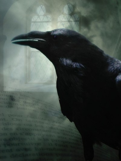 poe's raven