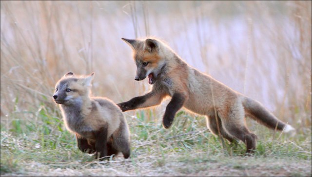 4542249977_a106ac9881_b