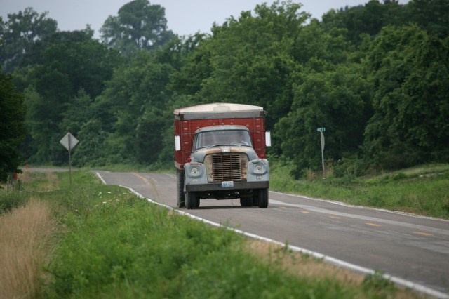 wildlife and roads, wildlife watching, wildlife habitat