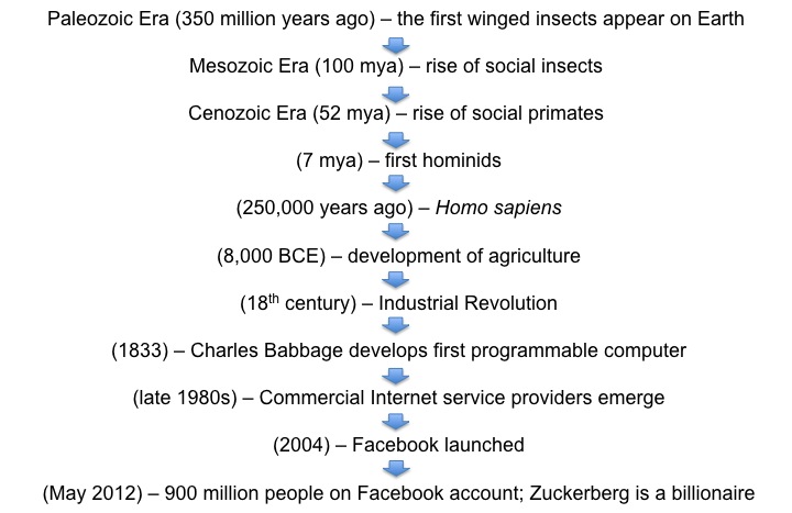 wasps to Facebook timeline