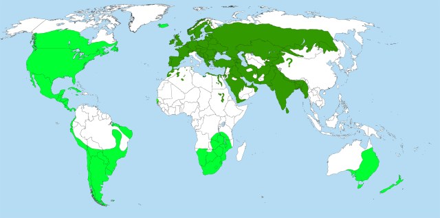 dark green = natural range light green = introduced range
