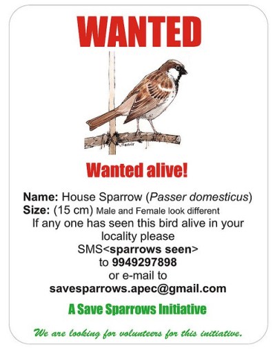 save-sparrow