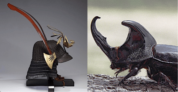 Insectoid Samurai Spineless Samurai – Next-Door Nature